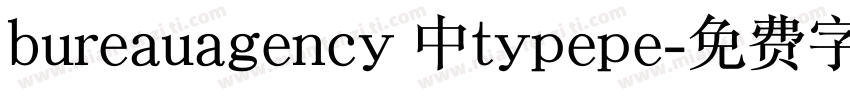 bureauagency 中typepe字体转换